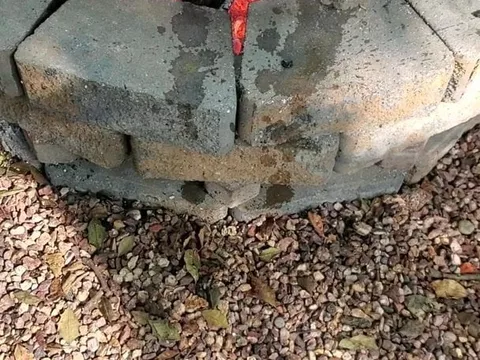 My cumshots